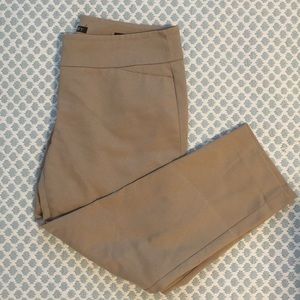 Loft Marissa Straight Pant